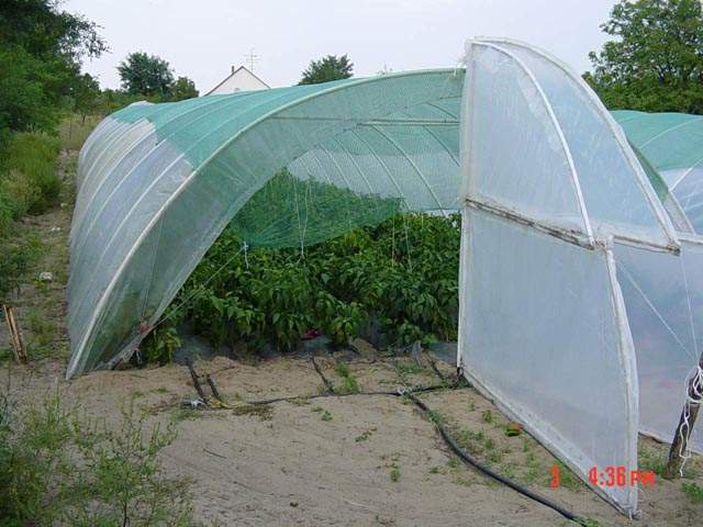 Plastenik03