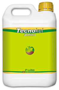 tecnokel amino mix